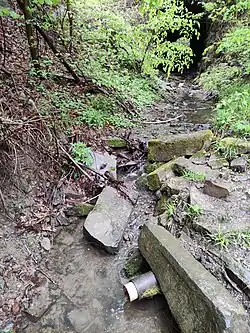 Pramen studánky, v pozadí tunel Propustku nedokončené železnice Děrné sever