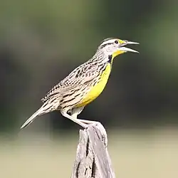 alternativní popis obrázku chybí