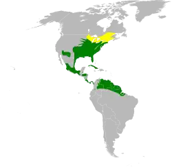 Areál rozšíření