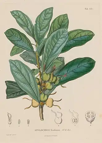 alternativní popis obrázku chybí