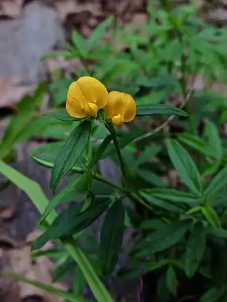 alternativní popis obrázku chybí