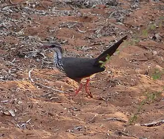 alternativní popis obrázku chybí