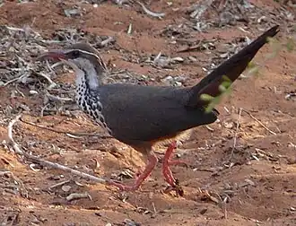 alternativní popis obrázku chybí