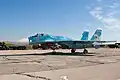 Suchoj Su-33