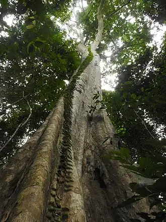 alternativní popis obrázku chybí