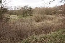 Sulice - tvrziště zvané Hradiště (11).jpg