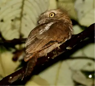 alternativní popis obrázku chybí