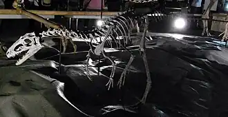 alternativní popis obrázku chybí