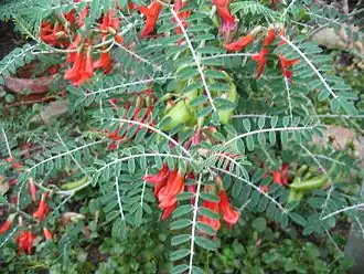 alternativní popis obrázku chybí