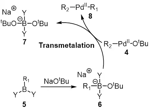 Transmetalace při Suzukiově reakci