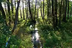 Svébořický potok ve Hvězdově