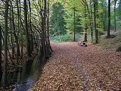 Průběh toku pod Horkou