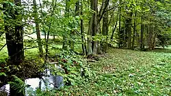 Světnovské údolí s meandry Sklenského potoka