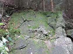 Sv. František Kuks - Stanovice.jpg