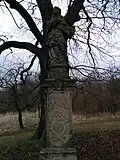 Svatý Jan Nepomucký, mezi Libáňskými jírovci.jpg