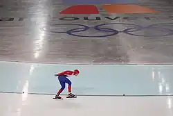 Světlana Vysokovová (2010)