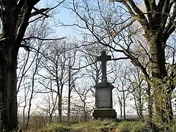 Kříž v remízku jižně od vesnice