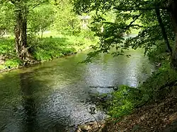 Svitava mezi Bílovicemi a Brnem