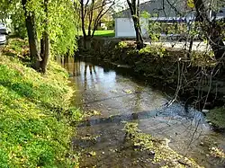 Svitavský náhon v Trnité