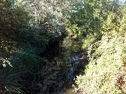 Svodnice u Kostické váhy