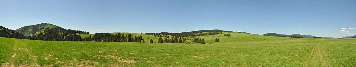 Panoráma plošiny, vlevo závěr Prosiecké doliny a za ní Lomné (1278 m n. m.), napravo od středu vrch Diel (1051 m n. m.), úplně vpravo cesta směrem na kótu Sekané na SV okraji plošiny a obec Veľké Borové pod úbočím plošiny.