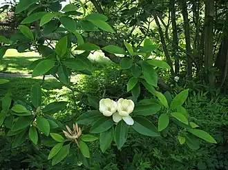 alternativní popis obrázku chybí