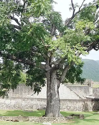 alternativní popis obrázku chybí