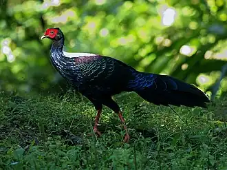 alternativní popis obrázku chybí