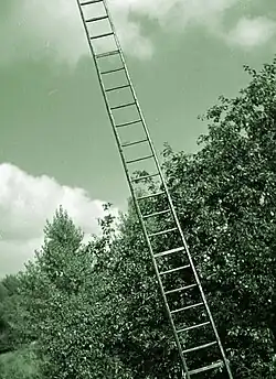 Žebřík (symbol obálky vydání k 50. výročí)