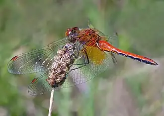 alternativní popis obrázku chybí