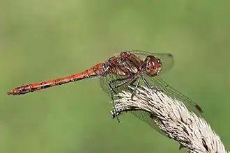 alternativní popis obrázku chybí