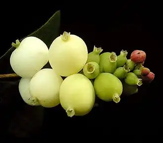 alternativní popis obrázku chybí