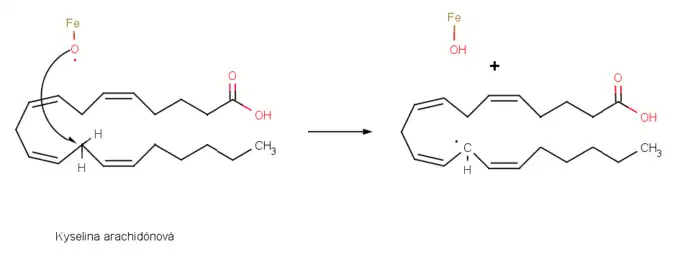 Syntéza prostaglandinu