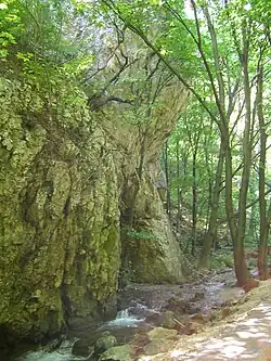 Potok v Zádielské tiesňavě