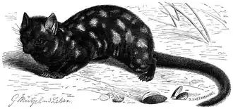 alternativní popis obrázku chybí