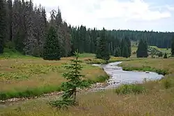 Pohled na okolí Roklanského potoka