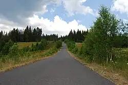 Přístupová cesta k rašeliništi