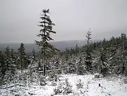 Třítrubecké údolí z Pateráku