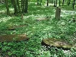 Židovský hřbitov v Třebotově