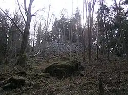 suťová pole na svahu Třemošné