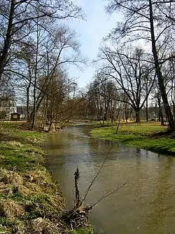 Řeka Třemošná v městě Třemošná