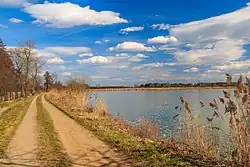 Na hrázi Třesického rybníka