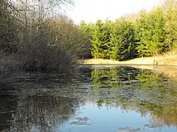 Tůň na okraji vsi Suchá Rudná vyhlášená jako Evropsky významná lokalita v rámci systému Natura 2000. Unikátním je zde výskyt čolka velkého.