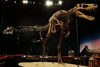 alternativní popis obrázku chybí