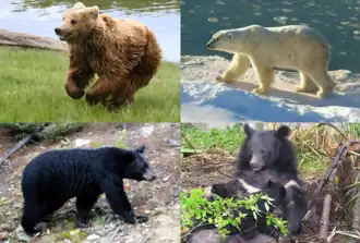 alternativní popis obrázku chybí