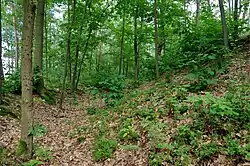 Tašovice archeologická rezervace (6).jpg