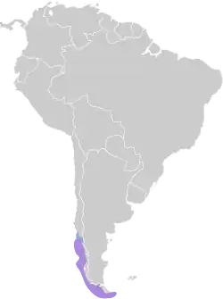 Areál rozšíření