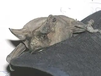 alternativní popis obrázku chybí