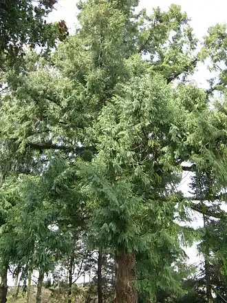 alternativní popis obrázku chybí