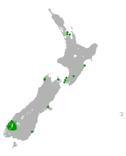 Areál rozšíření